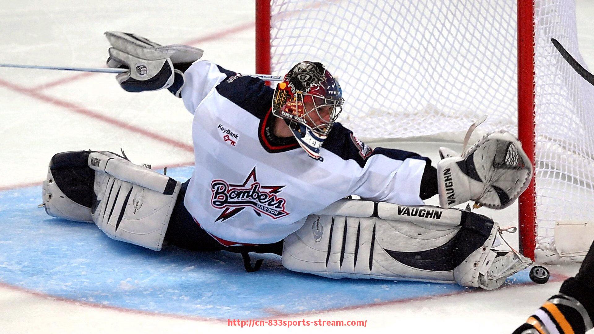 833体育直播-广东CBA球队中锋球员名单与技术特点