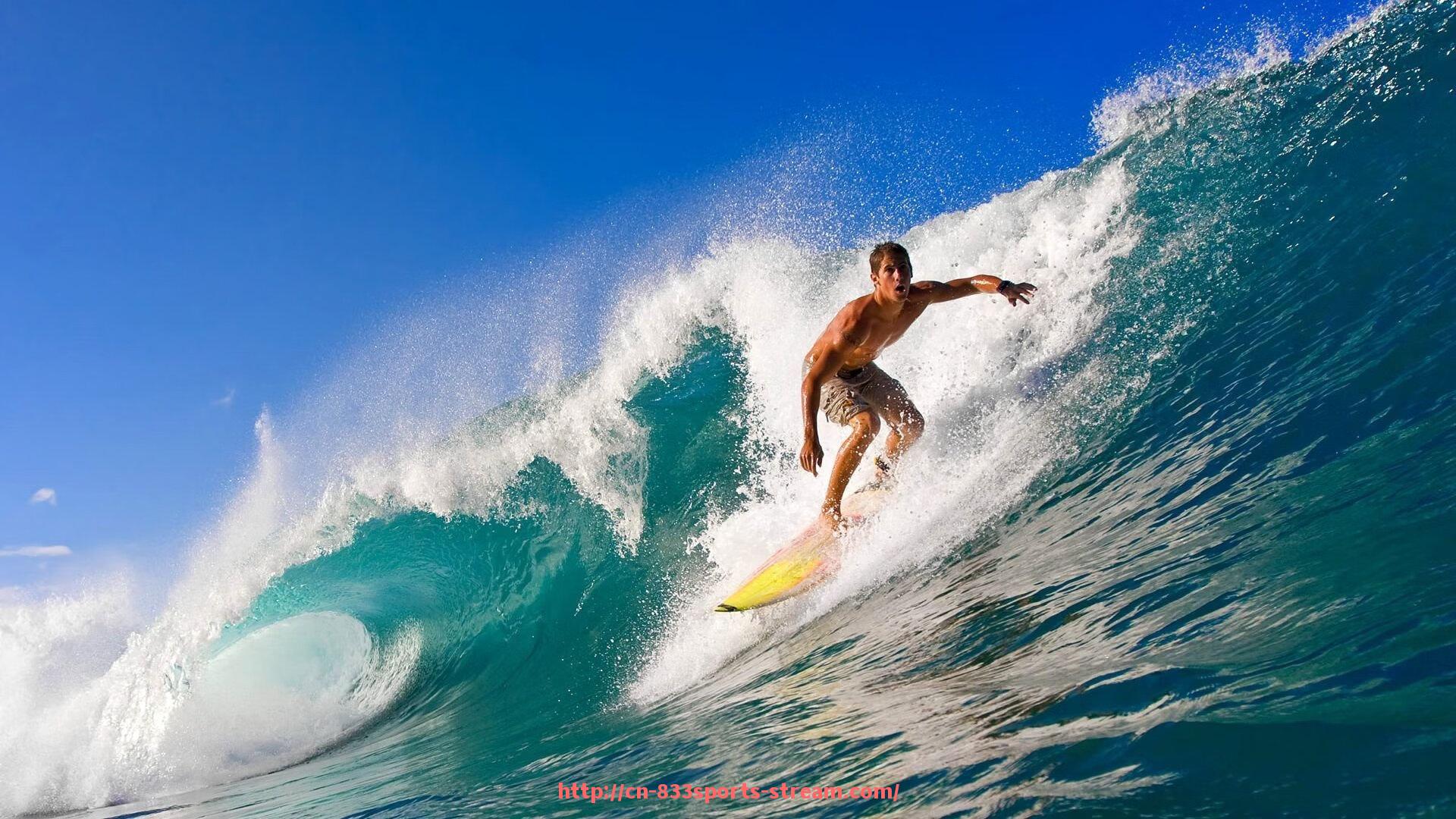 833体育直播-高度掌控者：跳高运动员的垂直爆发力解析